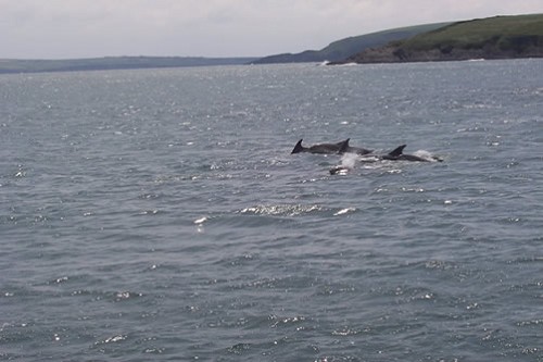 Kinsale, Kinsale Harbour, Kinsale Guided Tour