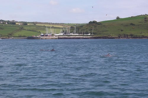 Kinsale, Kinsale Harbour, Kinsale Guided Tour