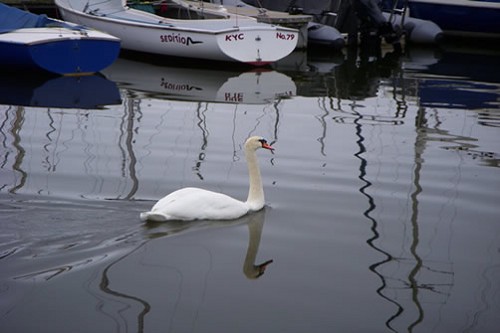 Kinsale, Kinsale Harbour, Kinsale Guided Tour